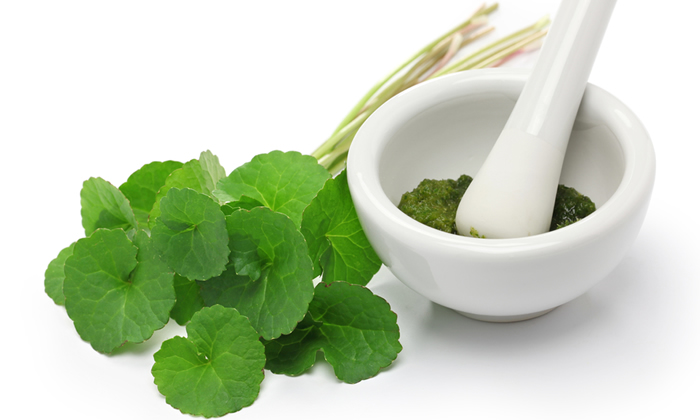 Centella Asiatica Anticellulite