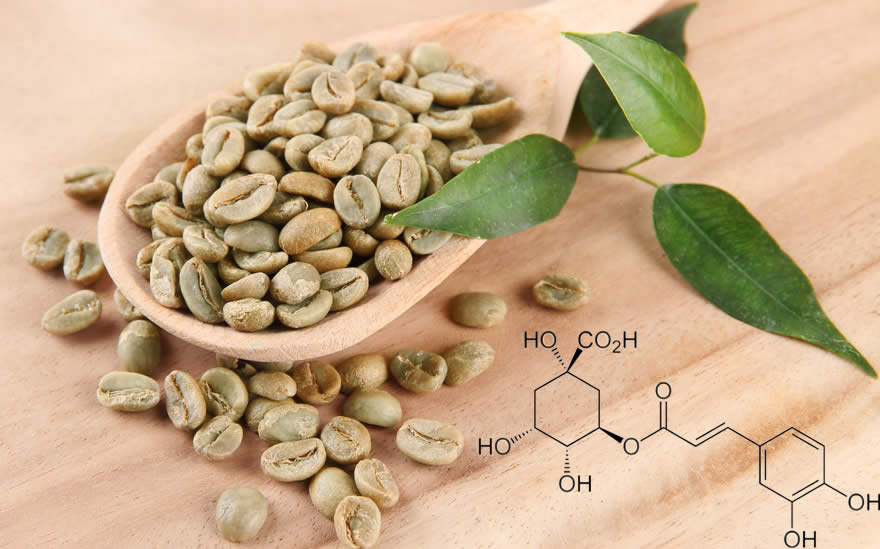 Caffè Verde - Aiuta a Dimagrire?