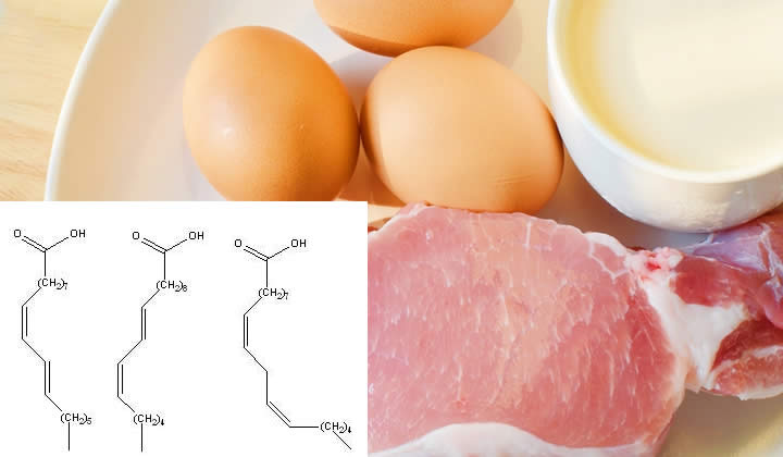CLA - Acido Linoleico Coniugato: Proprietà Dimagranti