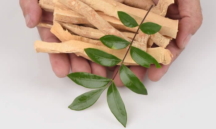 Eurycoma - Ginseng Malesiano - Proprietà per Dimagrire
