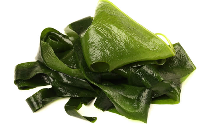 Laminaria - Alga Efficace per Dimagrire