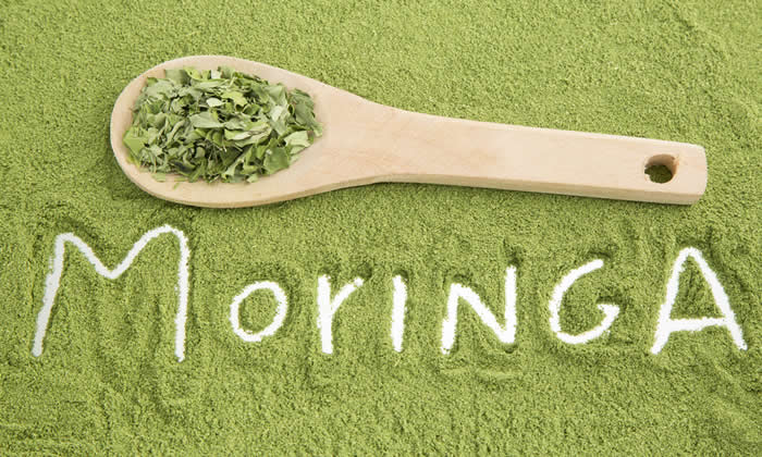 Moringa oleifera - La Moringa Aiuta a Dimagrire?