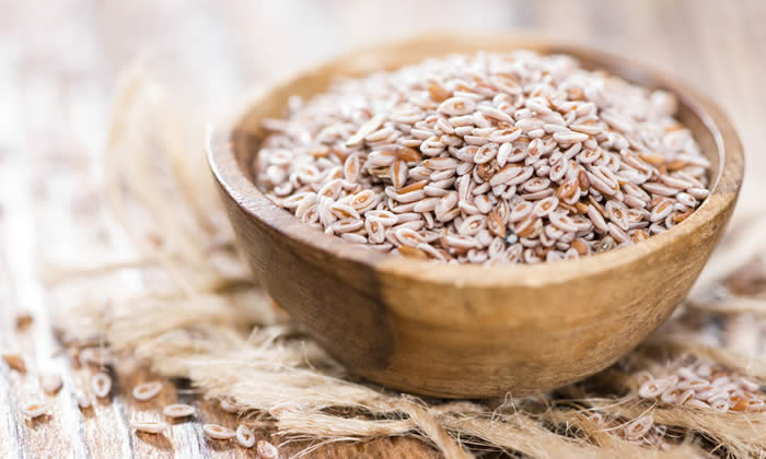 Psillio per Dimagrire - Proprietà dello Psyllium