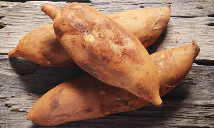 Yacon - Patata Dietetica per Dimagrire