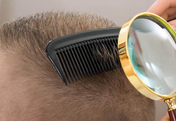 Capelli 2019 - Come Sono Fatti? Struttura e Proprietà