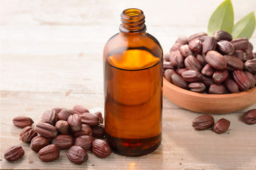 Olio di Jojoba 2019 - Per la Bellezza di Pelle e Capelli - Uso e Opinioni