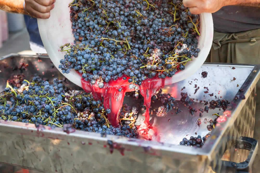 Vini Rossi: Come si Producono