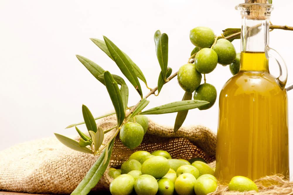 Olio Canino - Caratteristiche, Sapore, Abbinamenti