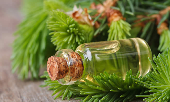 Olio Essenziale di Abete Rosso - Proprietà Curative e Benefici