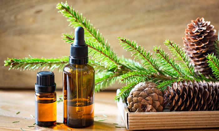 Olio Essenziale di Abete Bianco - Proprietà Curative e Benefici