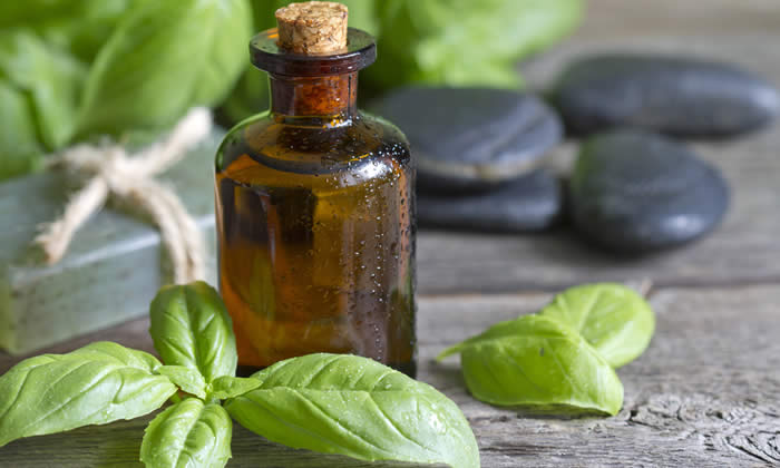 Olio Essenziale di Basilico - Proprietà Curative e Benefici