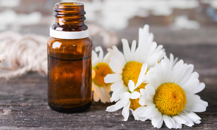 Olio Essenziale di Camomilla - Proprietà e Benefici