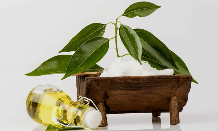 Olio Essenziale di Canfora - Proprietà Curative e Benefici