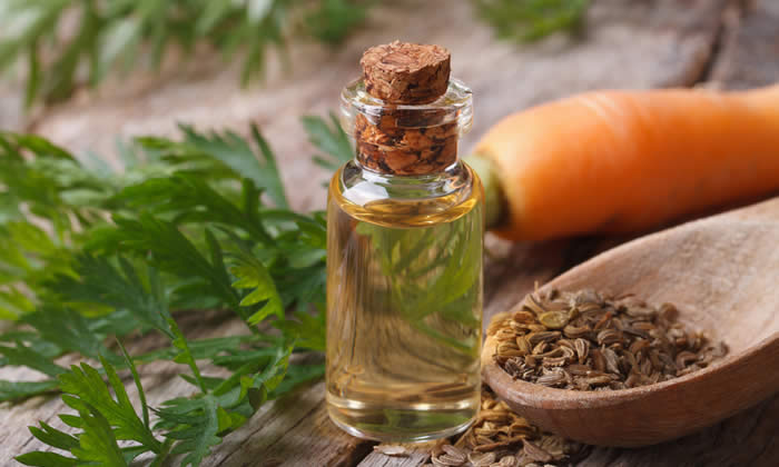 Olio Essenziale di Carota - Proprietà Curative e Benefici