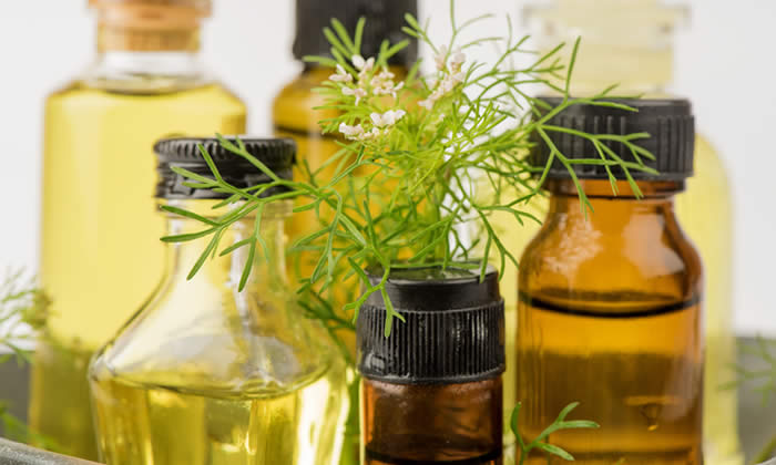 Olio Essenziale di Coriandolo - Proprietà Curative e Benefici