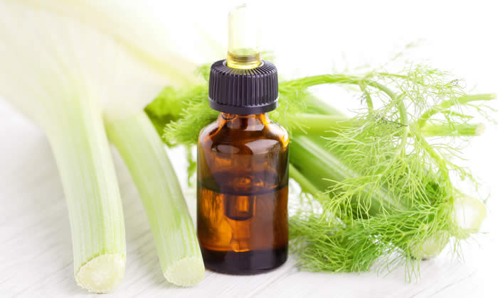 Olio Essenziale di Finocchio dolce - Proprietà Curative e Benefici