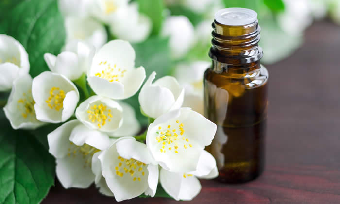 Olio Essenziale di Gelsomino - Proprietà Curative e Benefici