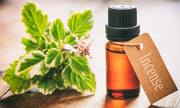 Olio Essenziale di Incenso - Proprietà Curative e Benefici