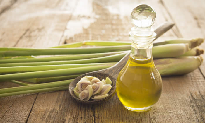 Olio Essenziale di Lemongrass - Proprietà Curative e Benefici