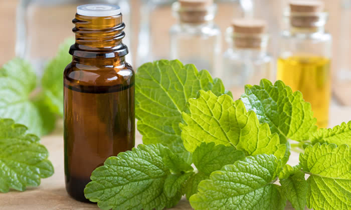 Olio Essenziale di Melissa - Proprietà Curative e Benefici