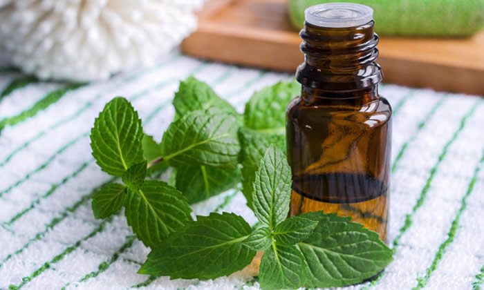 Olio Essenziale di Menta - Proprietà Curative e Benefici