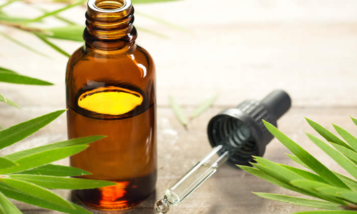 Olio Essenziale di Niaouli - Proprietà Curative e Benefici