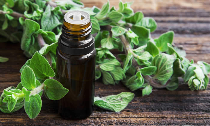 Olio Essenziale di Origano - Proprietà Curative e Benefici