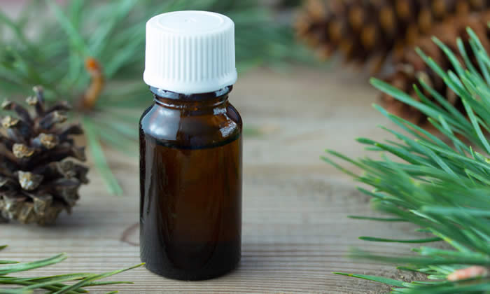 Olio Essenziale di Pino Silvestre - Proprietà Curative e Benefici