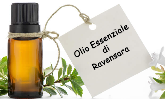 Olio Essenziale di Ravensara - Proprietà Curative e Benefici