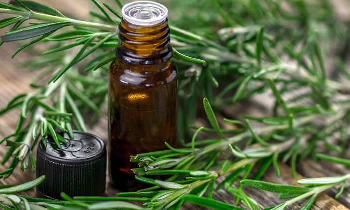 Olio Essenziale di Rosmarino - Proprietà Curative e Benefici