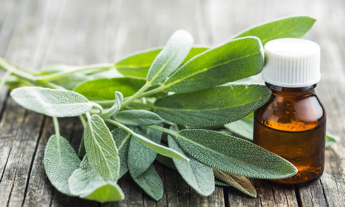 Olio Essenziale di Salvia - Proprietà Curative e Benefici