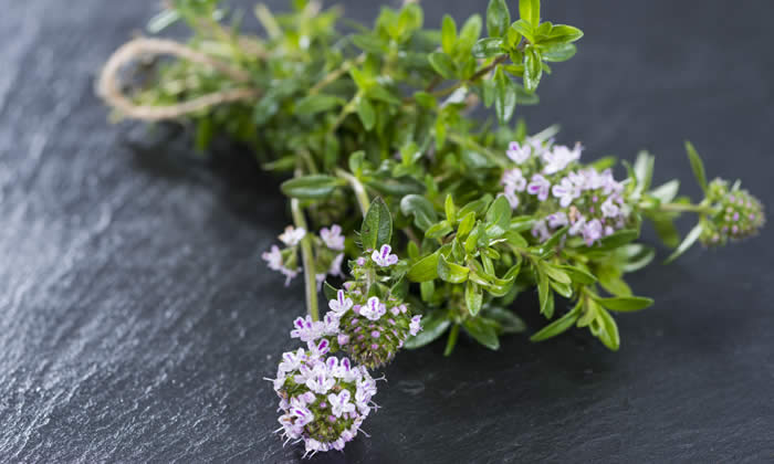 Olio Essenziale di Santoreggia Montana - Proprietà, Benefici