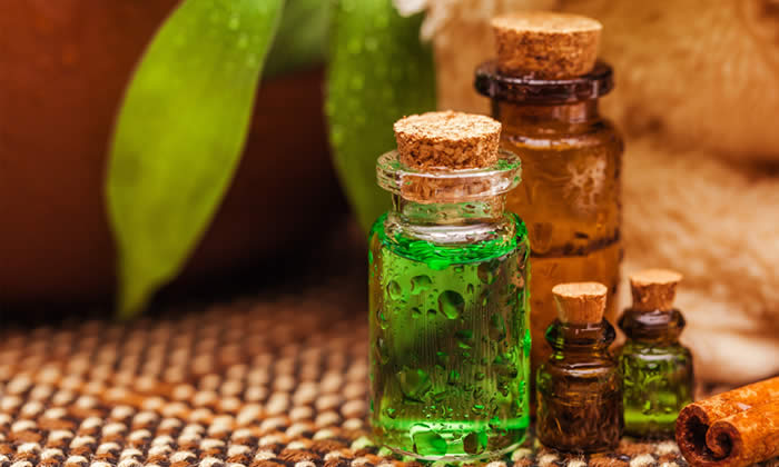 Tea Tree - Olio Essenziale di Melaleuca- Proprietà, Benefici