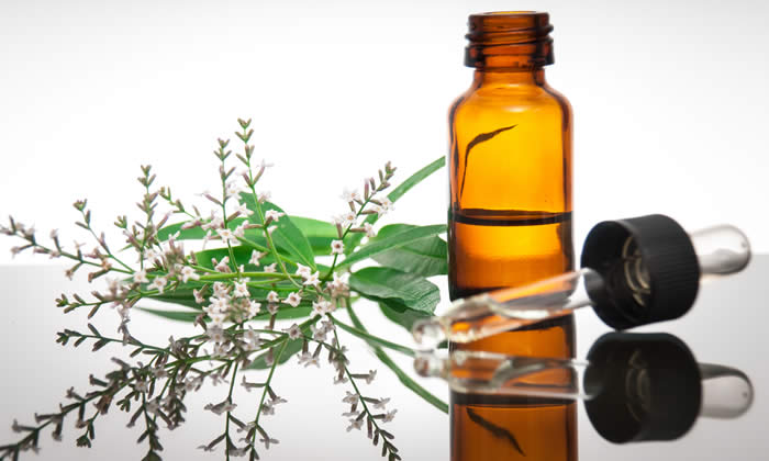 Olio Essenziale di Verbena - Proprietà Curative e Benefici