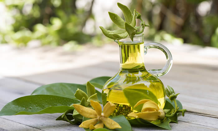 Ylang-ylang - Olio Essenziale di Ylang-ylang - Proprietà e Benefici
