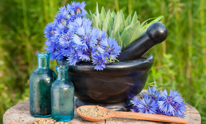 Olio Essenziale di Issopo - Proprietà Curative e Benefici