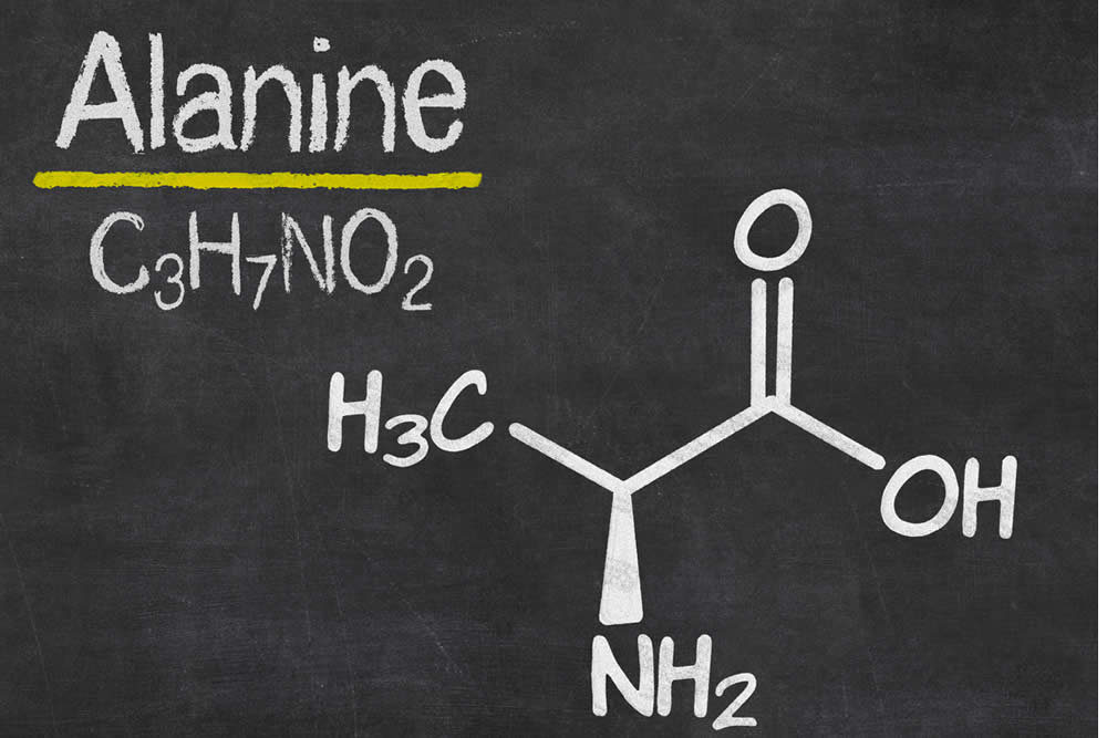 Alanina 2019 - Cos'è? A Cosa Serve? Ciclo Glucosio Alanina