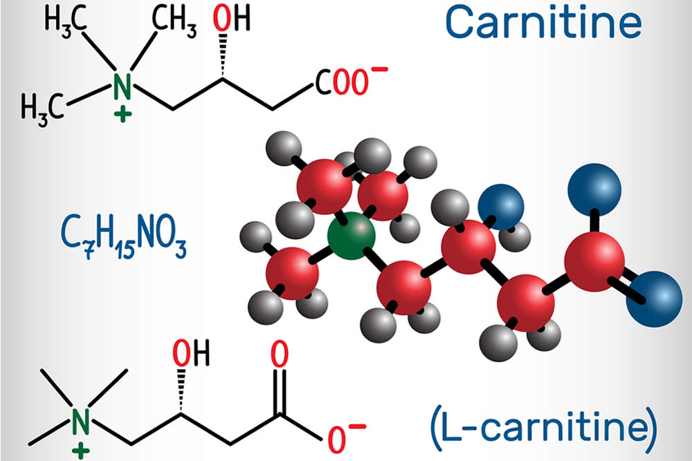 Carnitina Struttura