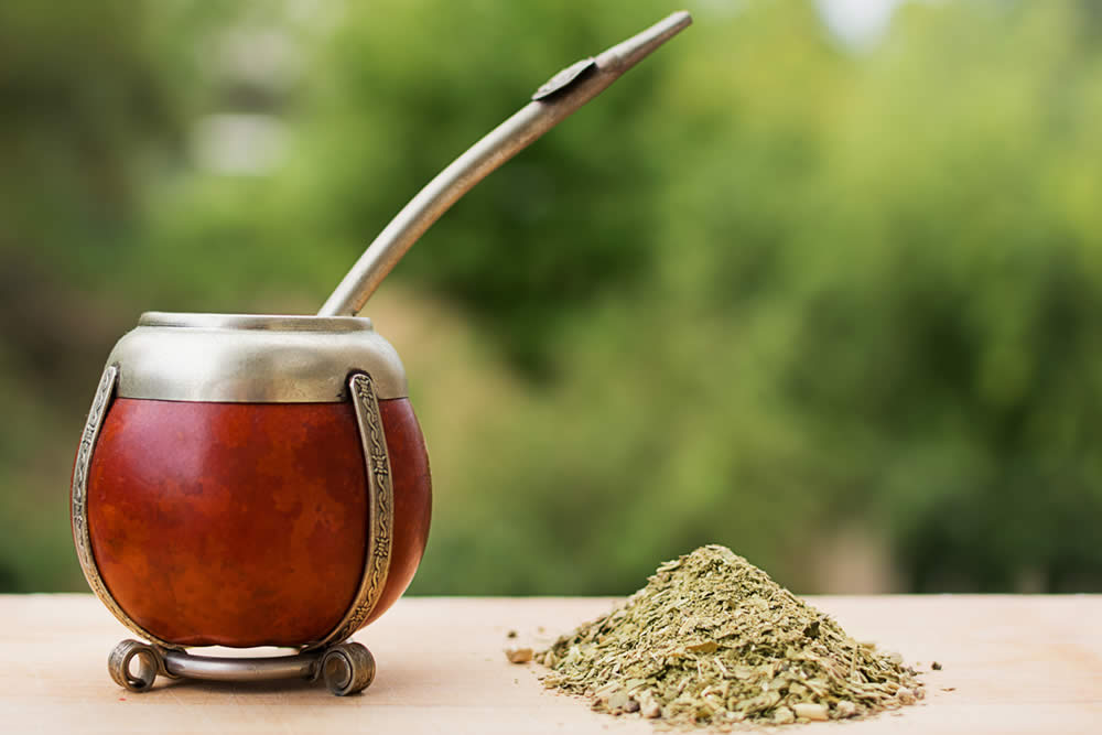 Mate 2019 - Proprietà e Benefici del Matè - Dosi, Uso e Dimagrimento