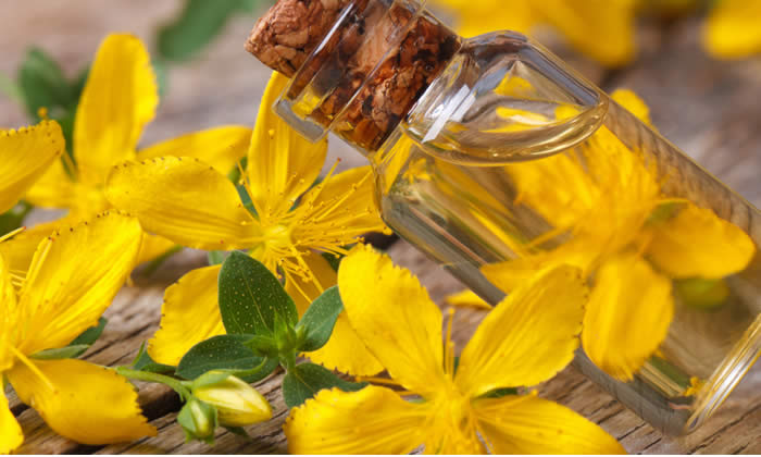 Olio di Iperico: Come si Usa? Proprietà e Ricette Fai da Te