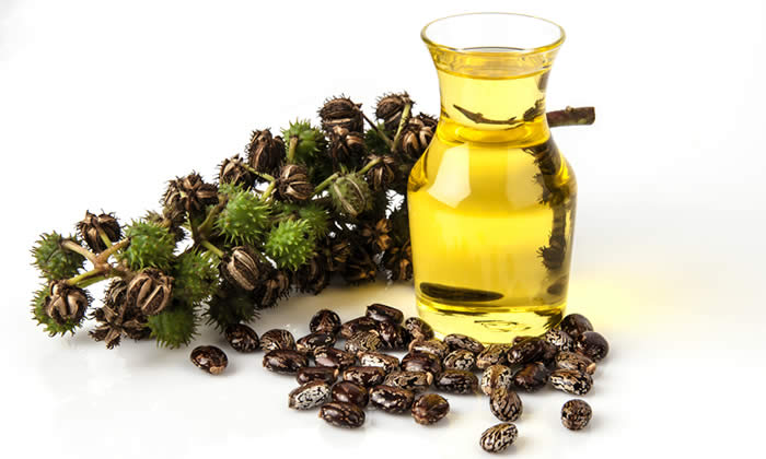 Olio di Ricino: Proprietà, Benefici e Ricette per la Bellezza