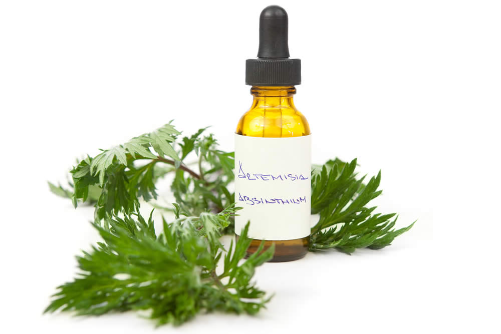 Assenzio per Aiutare la Digestione