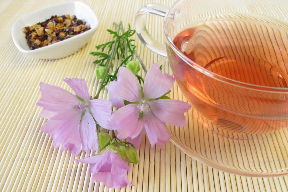 Malva nella Medicina Popolare