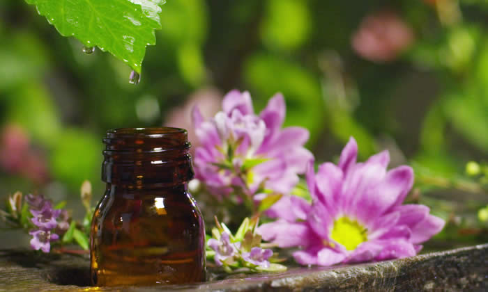 Aromaterapia - Cos'è l'Aromaterapia?