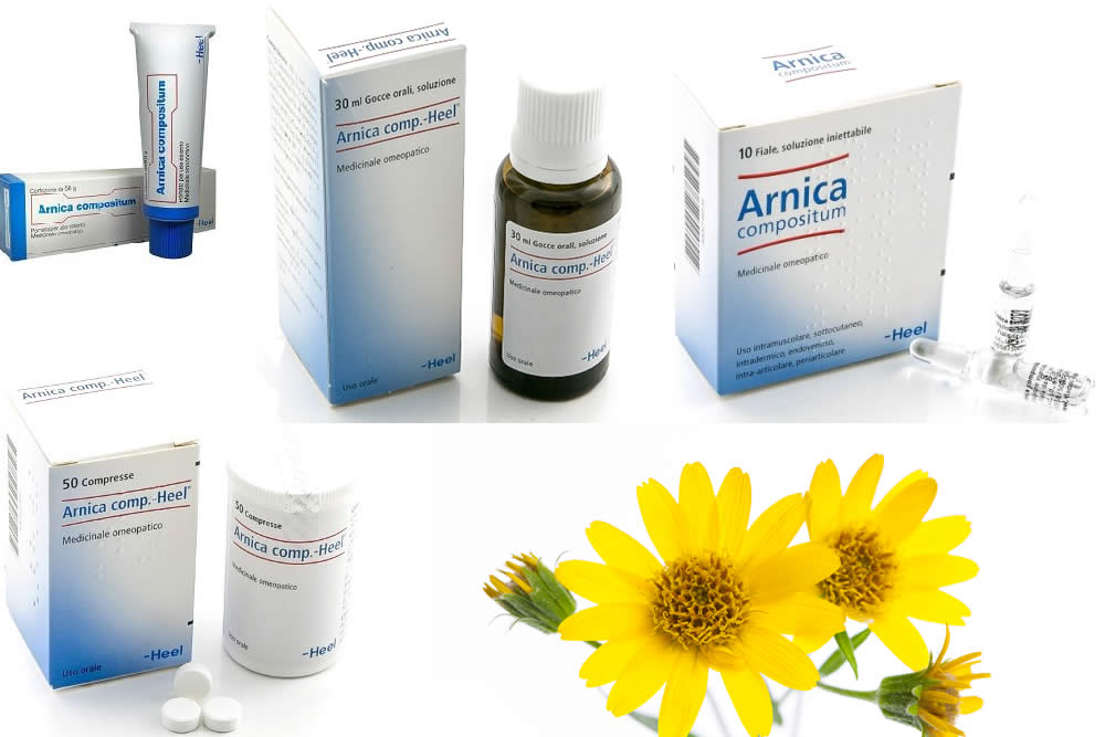 Arnica Compositum 2019 Spiegato: Fiale, Compresse, Gocce e Pomata
