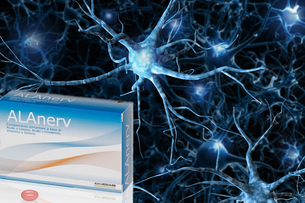 Alanerv 2019 - Funziona? Recensione, Efficacia, Offerte