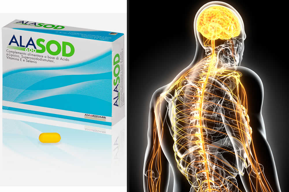 AlaSod - Ala 600 SOD - A Cosa Serve? Recensione Spiegata 2019