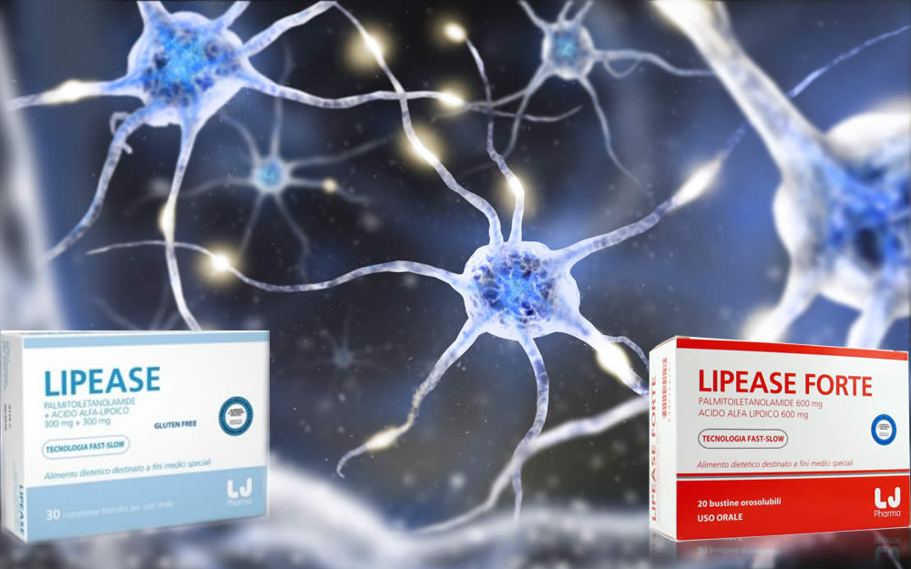 Lipease e Lipease Forte 2019 - Funzionano? Prezzo e Recensione