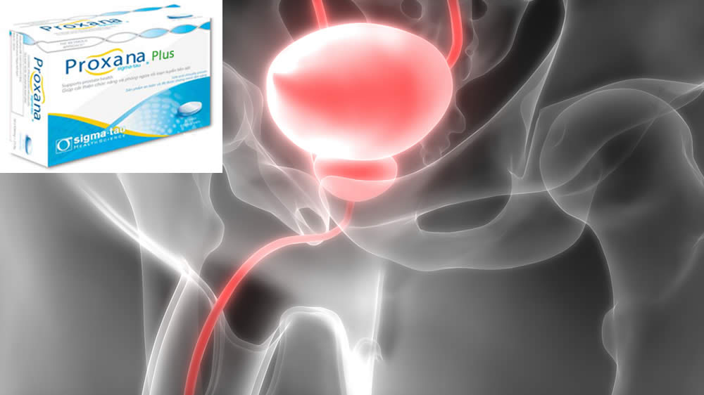 Proxana Plus 2019 | Integratore Prostata | Funziona? Opinioni 2019