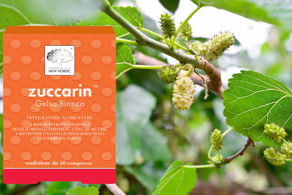 Zuccarin 2019: Gelso Bianco per Dimagrire. Abbassa Glicemia? Opinioni